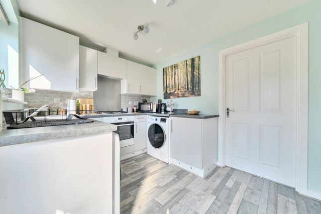 31 Primrose Avenue, Hereford photo 3