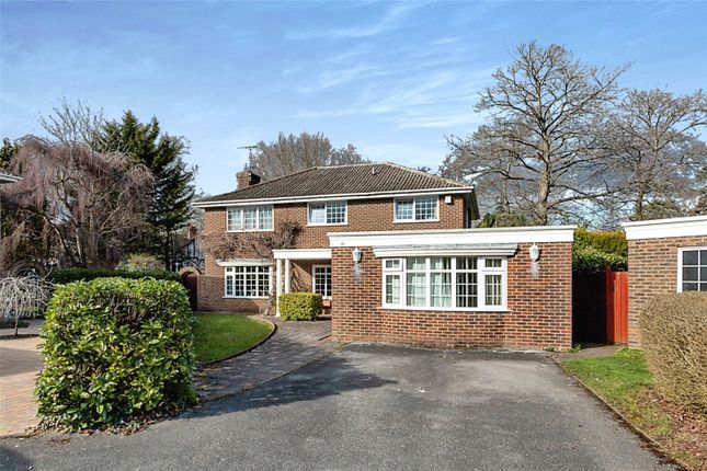 Thumbnail Detached house for sale in Saddlewood, Camberley, Surrey