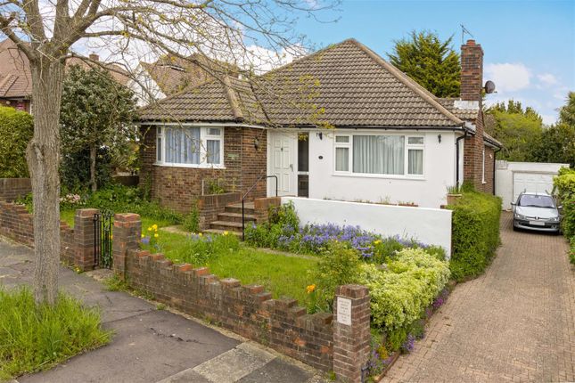 Thumbnail Bungalow for sale in Shirley Avenue, Hove