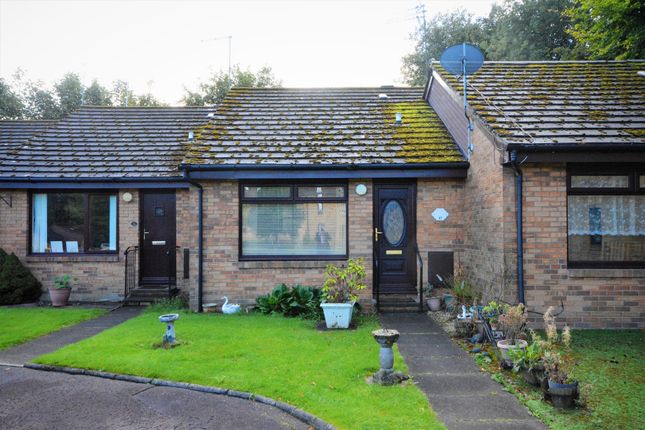 Thumbnail Bungalow for sale in Springbank Gardens, Falkirk, Stirlingshire