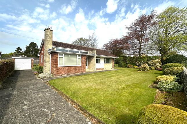 Thumbnail Detached bungalow for sale in Scalby Road, Scalby, Scarborough