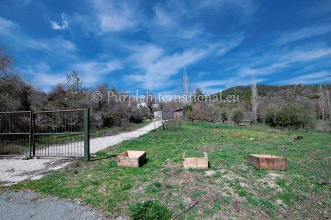 Land for sale in Pera Pedi, Cyprus