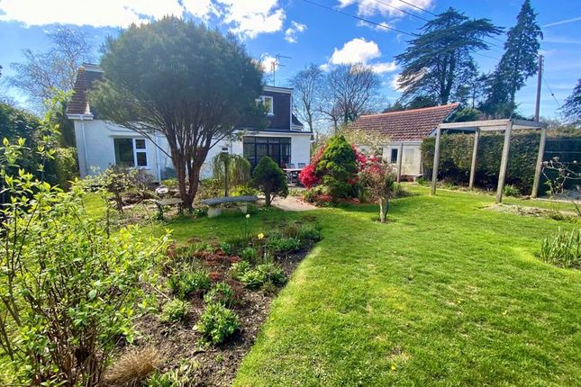Detached house for sale in Charmouth Road, Axminster