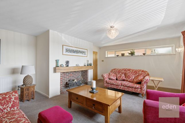 Half Tree Hollow, West Malling photo 4