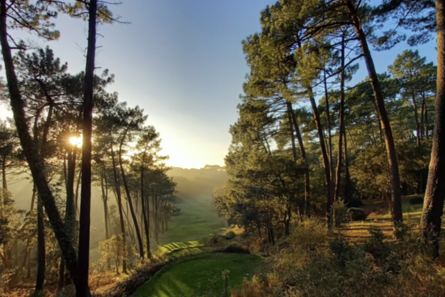 Villa for sale in Hossegor / Seignosse Golf Course, Breathtaking Views, Soorts-Hossegor, Soustons, Dax, Landes, Aquitaine, France