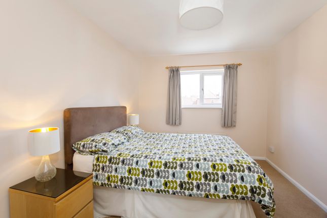 31, York photo 4