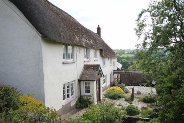 Homes To Let In North Devon Rent Property In North Devon