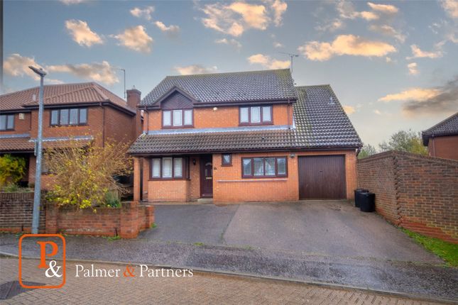 Thumbnail Detached house for sale in Thistledown, Highwoods, Colchester, Essex