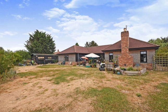 Detached bungalow for sale in Cock Lane, Highwood, Chelmsford