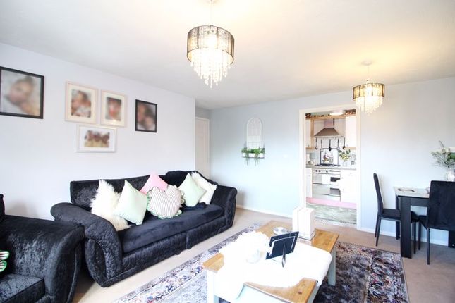 40, O'Leary Drive, Cardiff photo 3