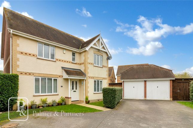 Thumbnail Detached house for sale in Barbour Gardens, Colchester, Essex