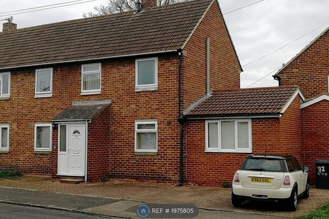 Thumbnail Semi-detached house to rent in Gray Avenue, Durham
