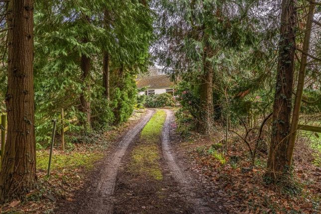 Detached bungalow for sale in Dowles Road, Bewdley