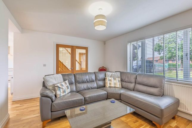 New Back Lounge