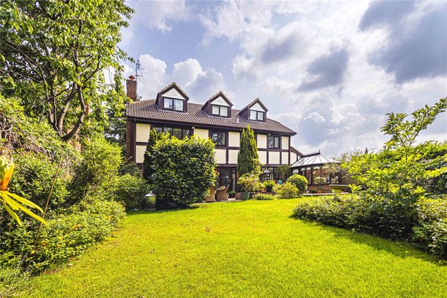 The Beech, Berkhamsted photo 4
