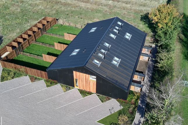 100Dronesing005520251006111439Dan