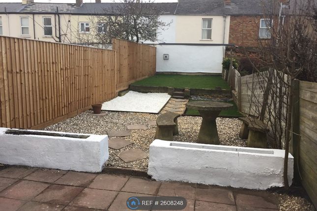 Back Garden
