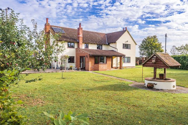 Bethel Farm, Mill Lane, Diss photo 4