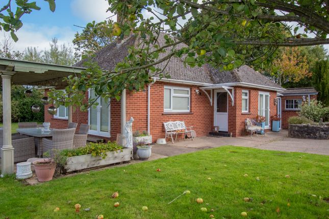 3-bed bungalow on Otter View, Church Lane, Ottery Saint Mary, £575,000
