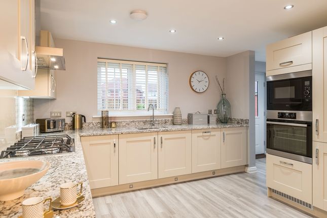 The Rossdale - Plot 248, Orchard Grove, Egremont Road, Taunton photo 3