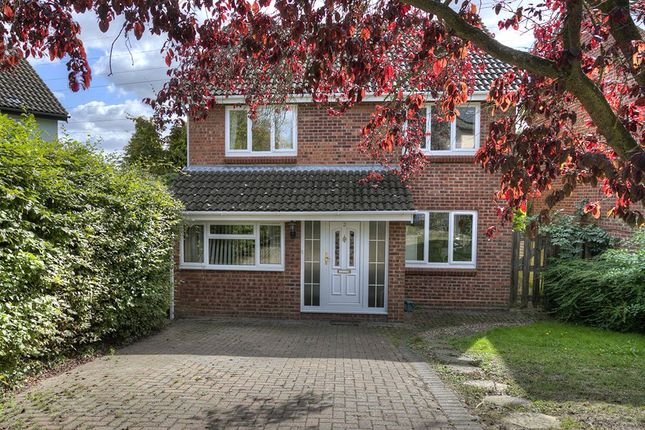 Thumbnail Detached house for sale in Cardinal Close, Colchester, Essex