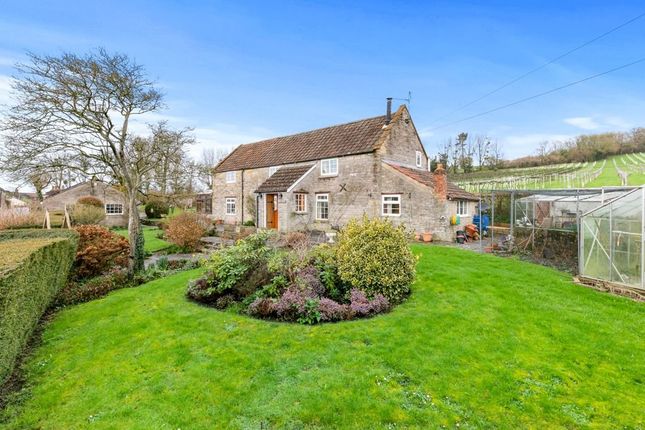 Thumbnail Detached house for sale in Wraxall, Somerset