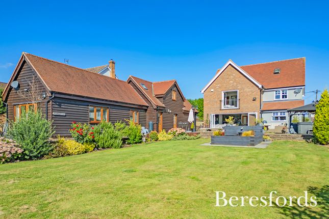 Garden / Annexe