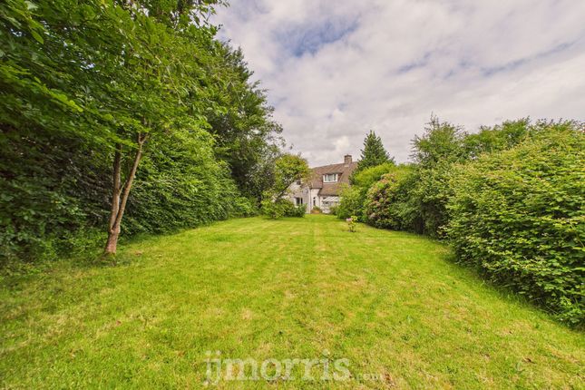 Plas y Fron, Fishguard photo 2