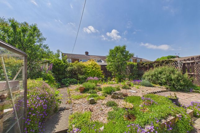 Bideford Grove, Newcastle Upon Tyne photo 4