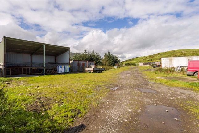 Thumbnail Land for sale in Mountain Road, Ballynahinch, Down