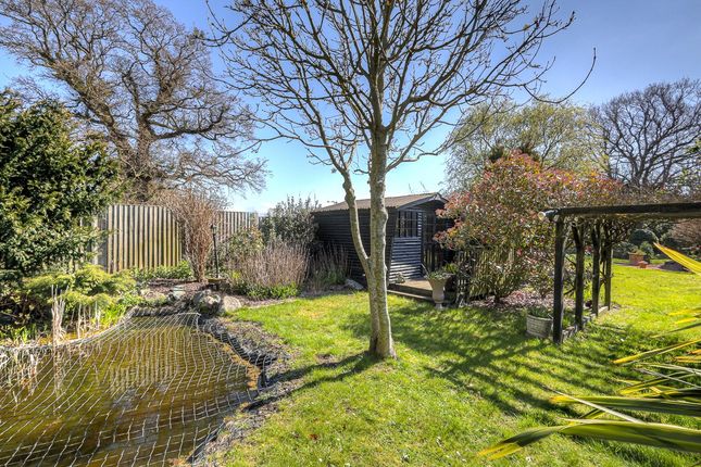 Detached house for sale in Clay Lane, St. Osyth