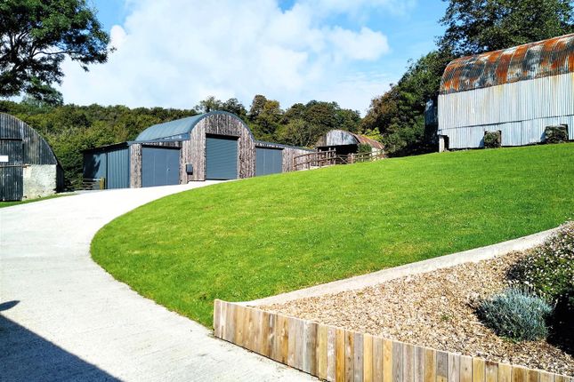 Best View Of All Barns.Jpg