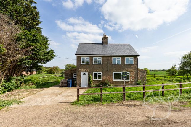 Thumbnail Detached house for sale in Conington, Cambridge