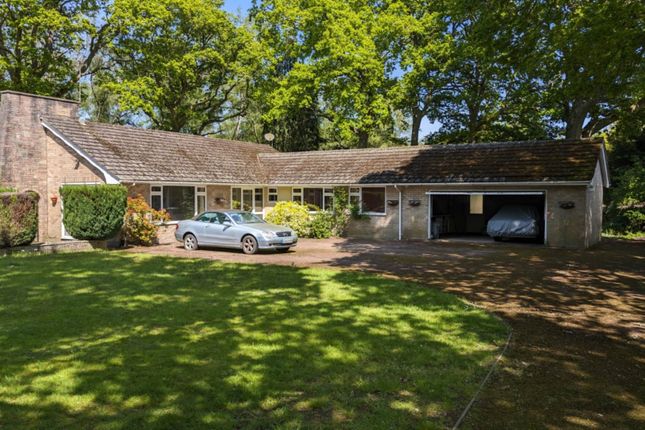Thumbnail Detached bungalow for sale in Gibbs Lane, Kingsley, Hampshire