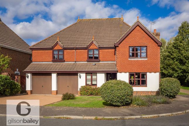 Thumbnail Detached house for sale in Rainsborough Rise, Thorpe St. Andrew, Norwich