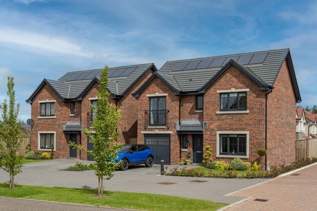Thumbnail Detached house for sale in "The Avondale" at Gregory Road, Kirkton Campus, Livingston