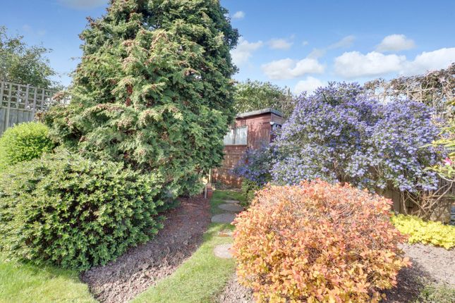 Detached bungalow for sale in Marcus Avenue, Thorpe Bay