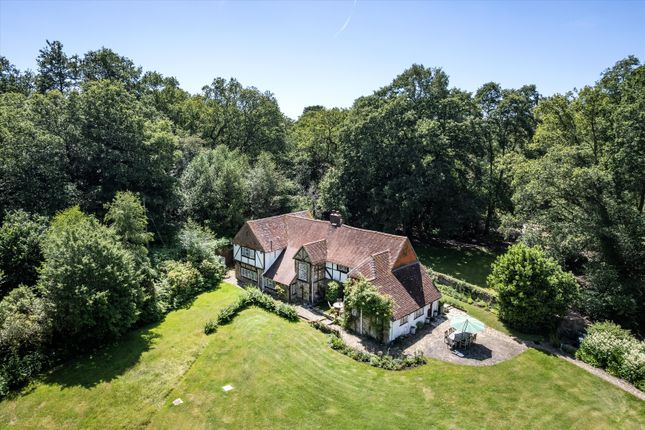Hambledon, Godalming photo 4