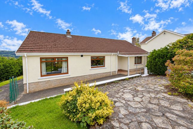 Maestir Road, Lampeter photo 3