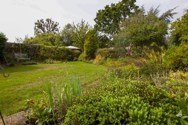 10, Briar Way, Guildford photo 4