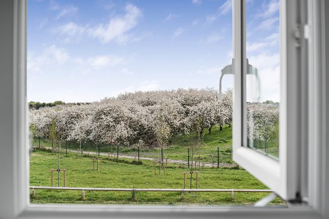 17, Pulford Way, Milton photo 3