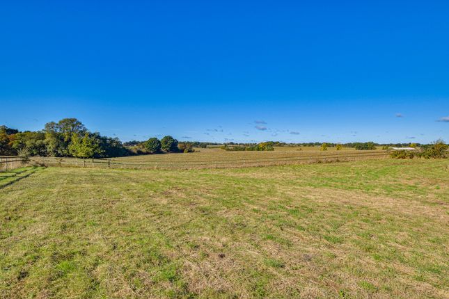 Onslow Green, Dunmow photo 3