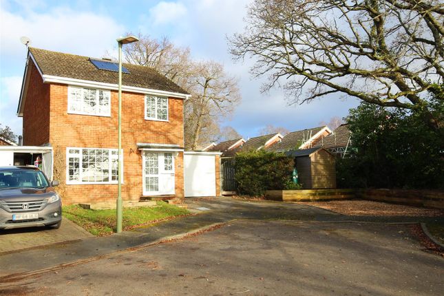 Thumbnail Detached house to rent in Stanford Rise, Sway, Lymington