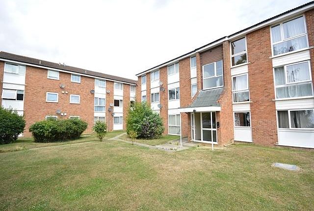 Thumbnail Flat to rent in Cornflower Drive, Springfield, Chelmsford