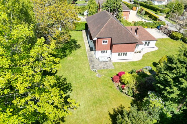 Detached house for sale in Monkshanger, Farnham