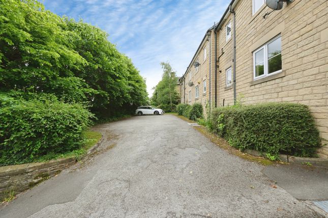 24, Clifford Road, Sheffield photo 4