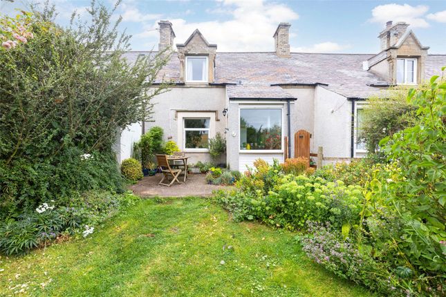 Thumbnail Terraced house for sale in St. Cuthberts Cottages, Cornhill-On-Tweed, Northumberland