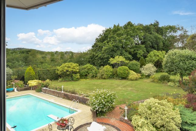 37, Shirleys, Hassocks photo 2