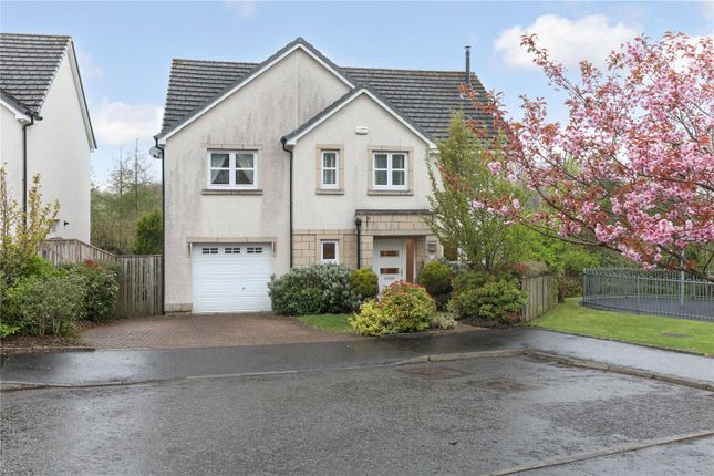 Thumbnail Detached house for sale in Calabar Court, Rutherglen, Glasgow, South Lanarkshire