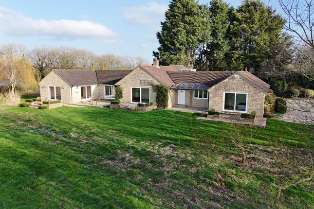 Copse Hill Farm, Sturminster Newton photo 3